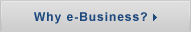 Why e-Business?